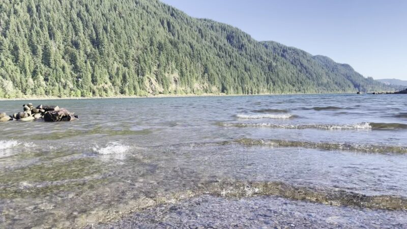 Cougar Park & Campground - Cougar, WA