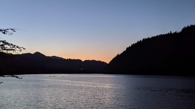 Cougar Park & Campground - Cougar, WA