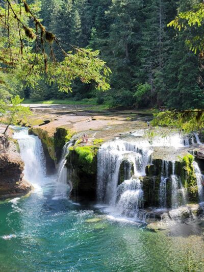 Lewis River Trail - Cougar, WA