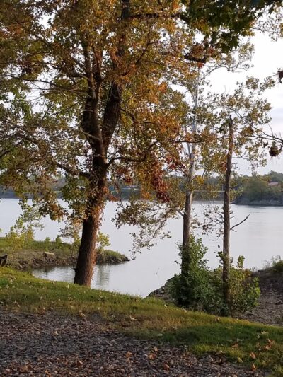 Red Dog campground and Rv Park - Counce, TN
