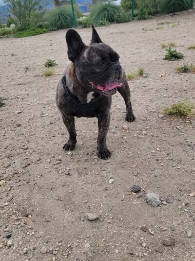 Banna Park - Covina, CA