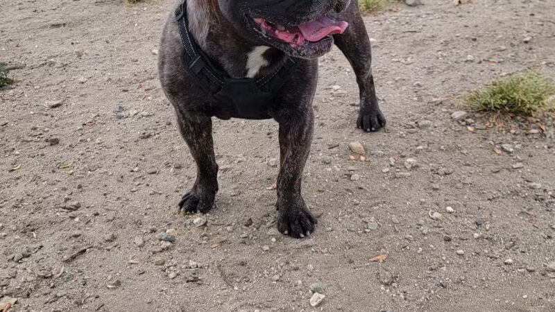 Banna Park - Covina, CA