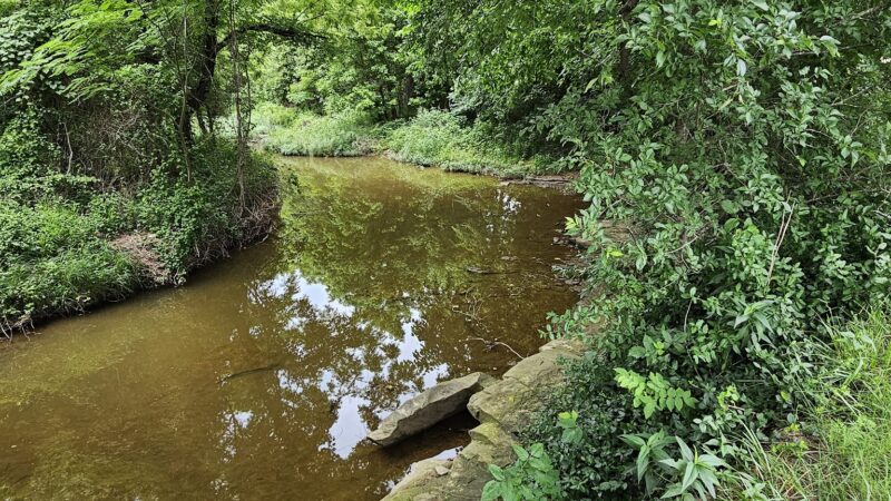 Roland park - Coweta, OK