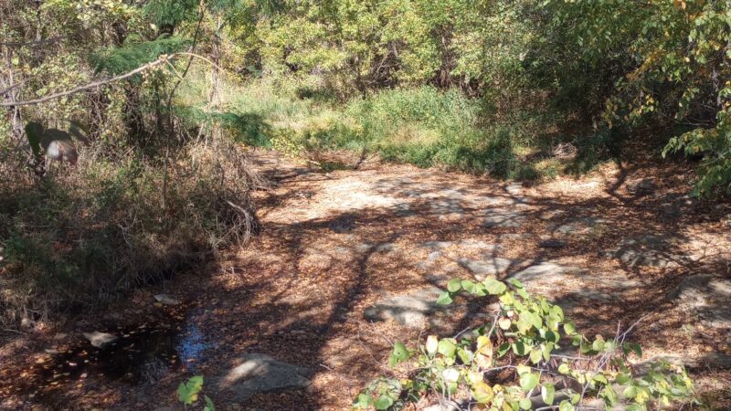 Roland park - Coweta, OK