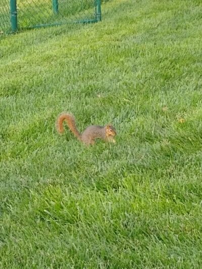 Ethan's Park - Cozad, NE