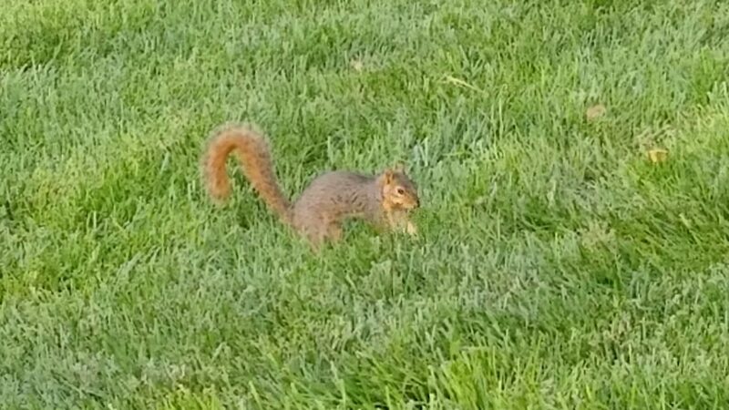 Ethan's Park - Cozad, NE