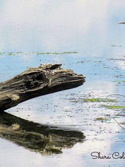 Moffat County Parks & Rec - Craig, CO