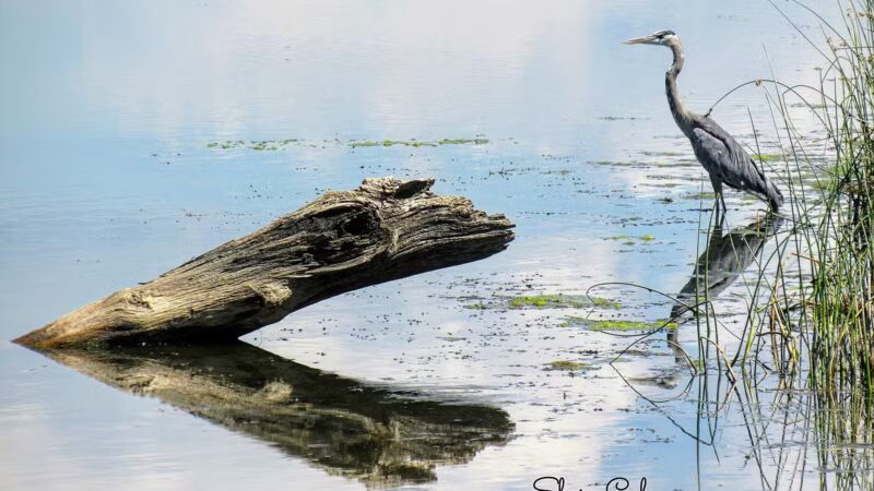 Moffat County Parks & Rec - Craig, CO