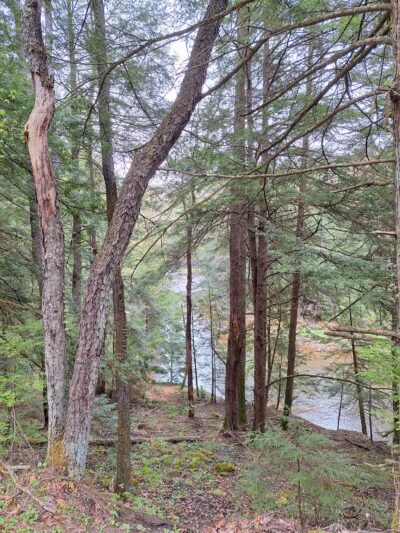 Sandy Creek Trail-Van Trailhead - Cranberry, PA