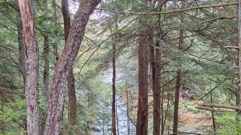 Sandy Creek Trail-Van Trailhead - Cranberry, PA