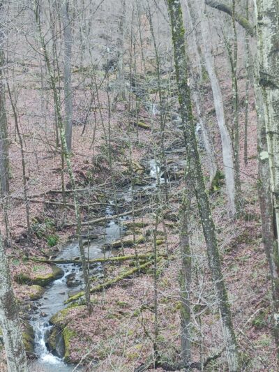 Sandy Creek Trail-Van Trailhead - Cranberry, PA