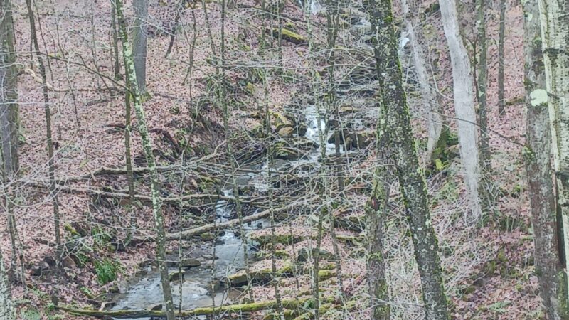 Sandy Creek Trail-Van Trailhead - Cranberry, PA