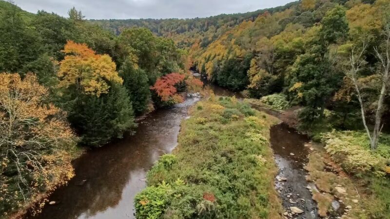 Sandy Creek Trail-Van Trailhead - Cranberry, PA