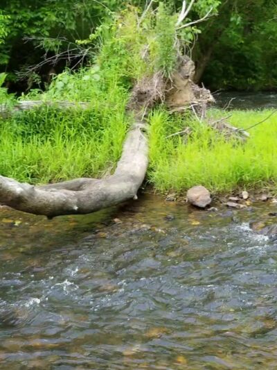 Petty-Fairy Valley Park - Crandall, GA