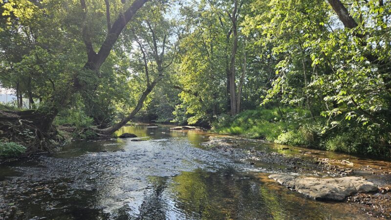 Petty-Fairy Valley Park - Crandall, GA