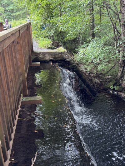 Ice Lake Park - Cresco, PA