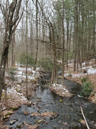 Ice Lake Park - Cresco, PA