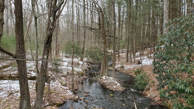Ice Lake Park - Cresco, PA