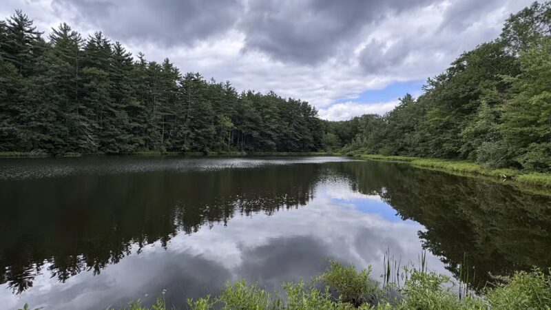 Ice Lake Park - Cresco, PA
