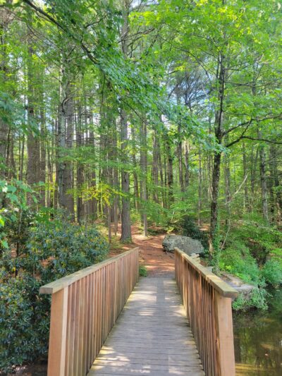 Ice Lake Park - Cresco, PA