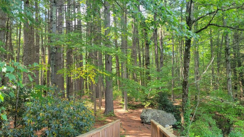 Ice Lake Park - Cresco, PA
