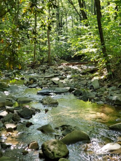 Kurmes Preserve - North Parking Area - Cresco, PA
