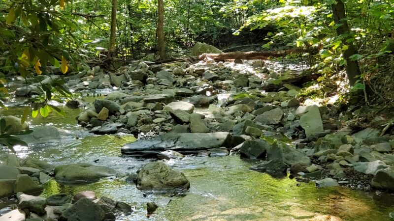 Kurmes Preserve - North Parking Area - Cresco, PA