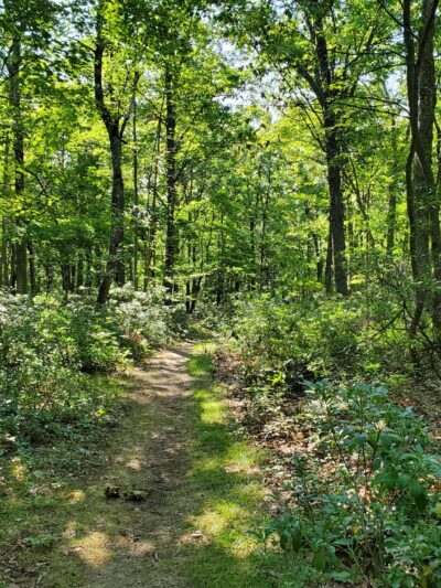 Kurmes Preserve - North Parking Area - Cresco, PA