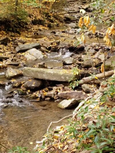 Kurmes Preserve - North Parking Area - Cresco, PA