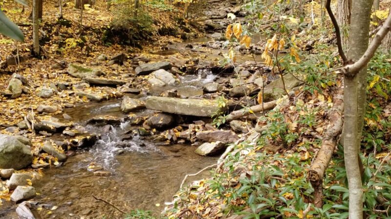 Kurmes Preserve - North Parking Area - Cresco, PA