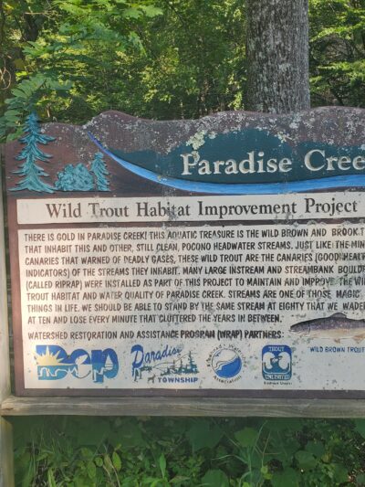 Little Park - Cresco, PA