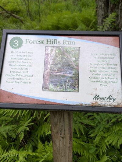 Mount Airy Red Rock Trailhead - Cresco, PA