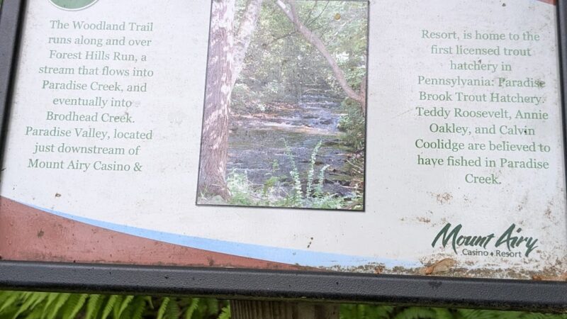 Mount Airy Red Rock Trailhead - Cresco, PA