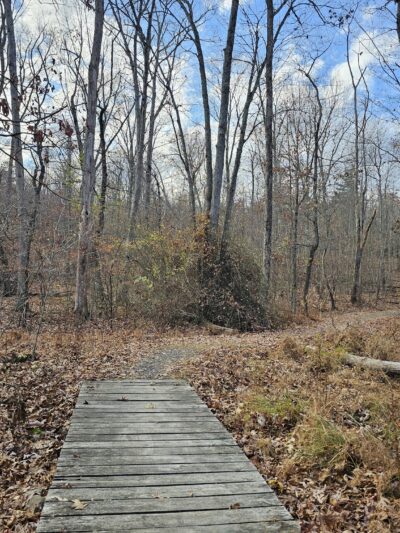 Mount Airy Red Rock Trailhead - Cresco, PA