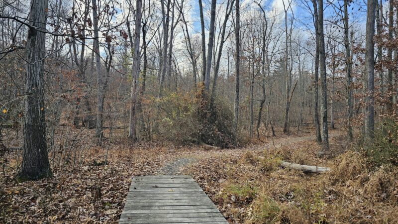 Mount Airy Red Rock Trailhead - Cresco, PA