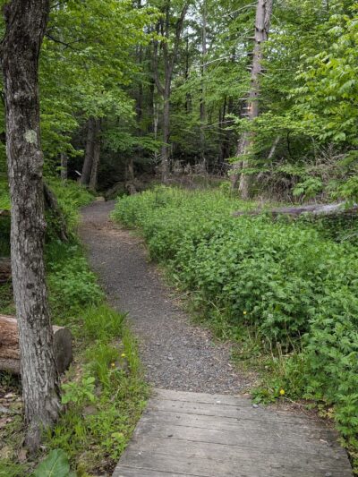 Mount Airy Red Rock Trailhead - Cresco, PA