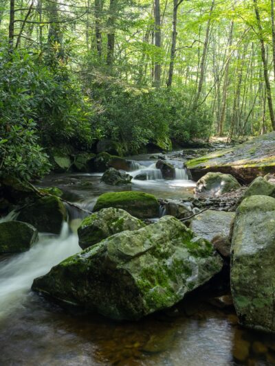 PA State Game Lands 221 - Cresco, PA