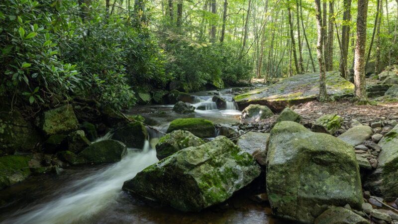 PA State Game Lands 221 - Cresco, PA