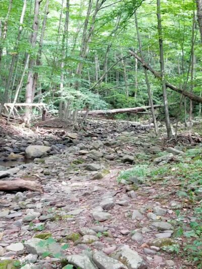 PA State Game Lands 221 - Cresco, PA