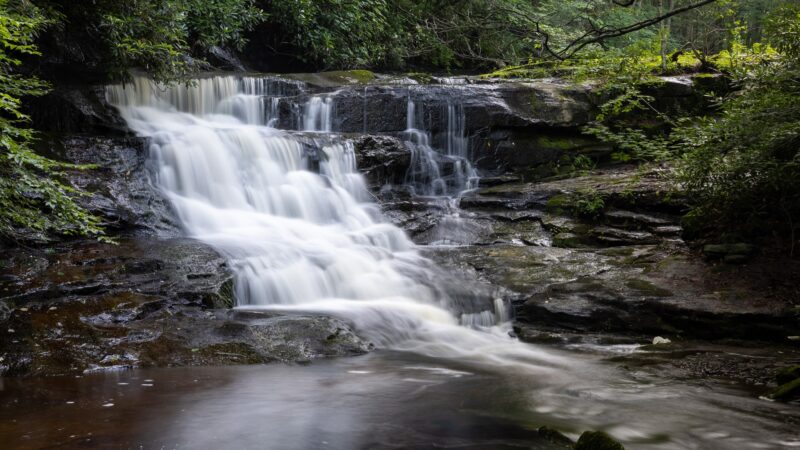 PA State Game Lands 221 - Cresco, PA