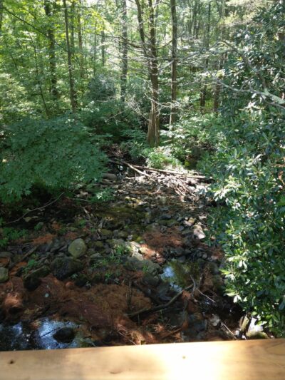 Seven Pines Park - Cresco, PA