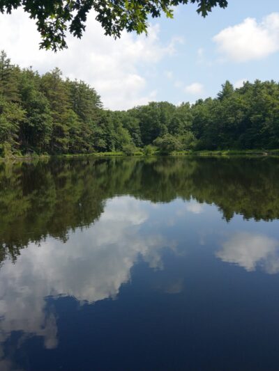 Seven Pines Park - Cresco, PA