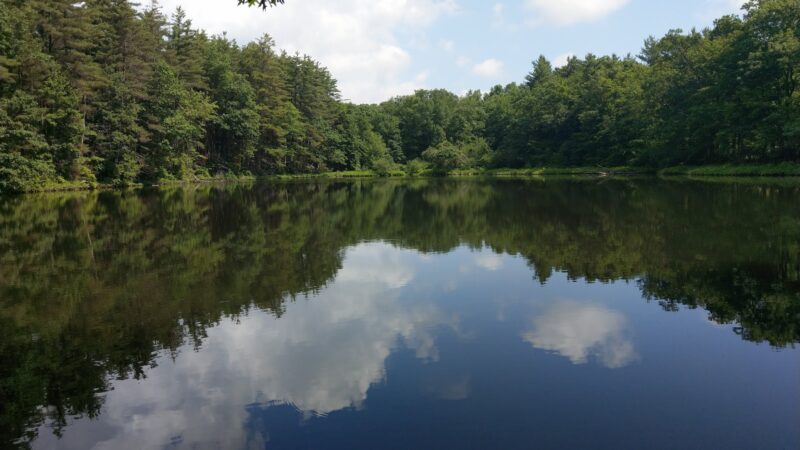 Seven Pines Park - Cresco, PA