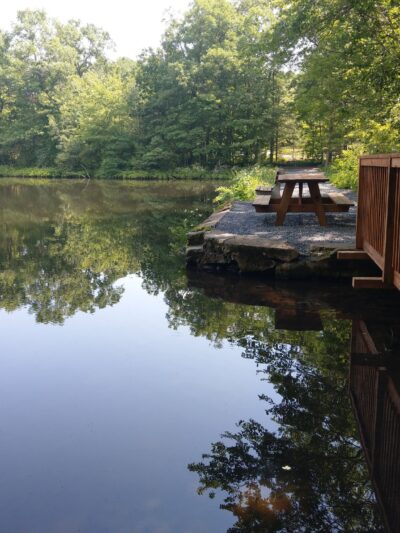 Seven Pines Park - Cresco, PA