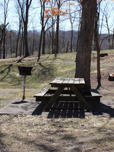 Cressona Picnic Grove - Cressona, PA