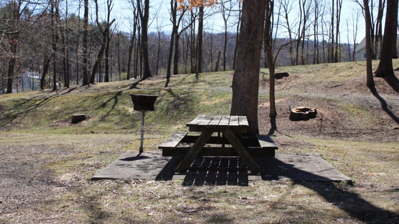 Cressona Picnic Grove - Cressona, PA