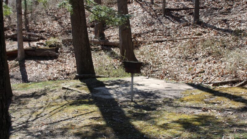 Cressona Picnic Grove - Cressona, PA