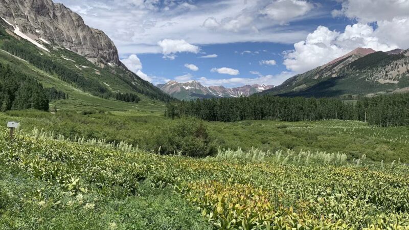 Playground - Crested Butte, CO