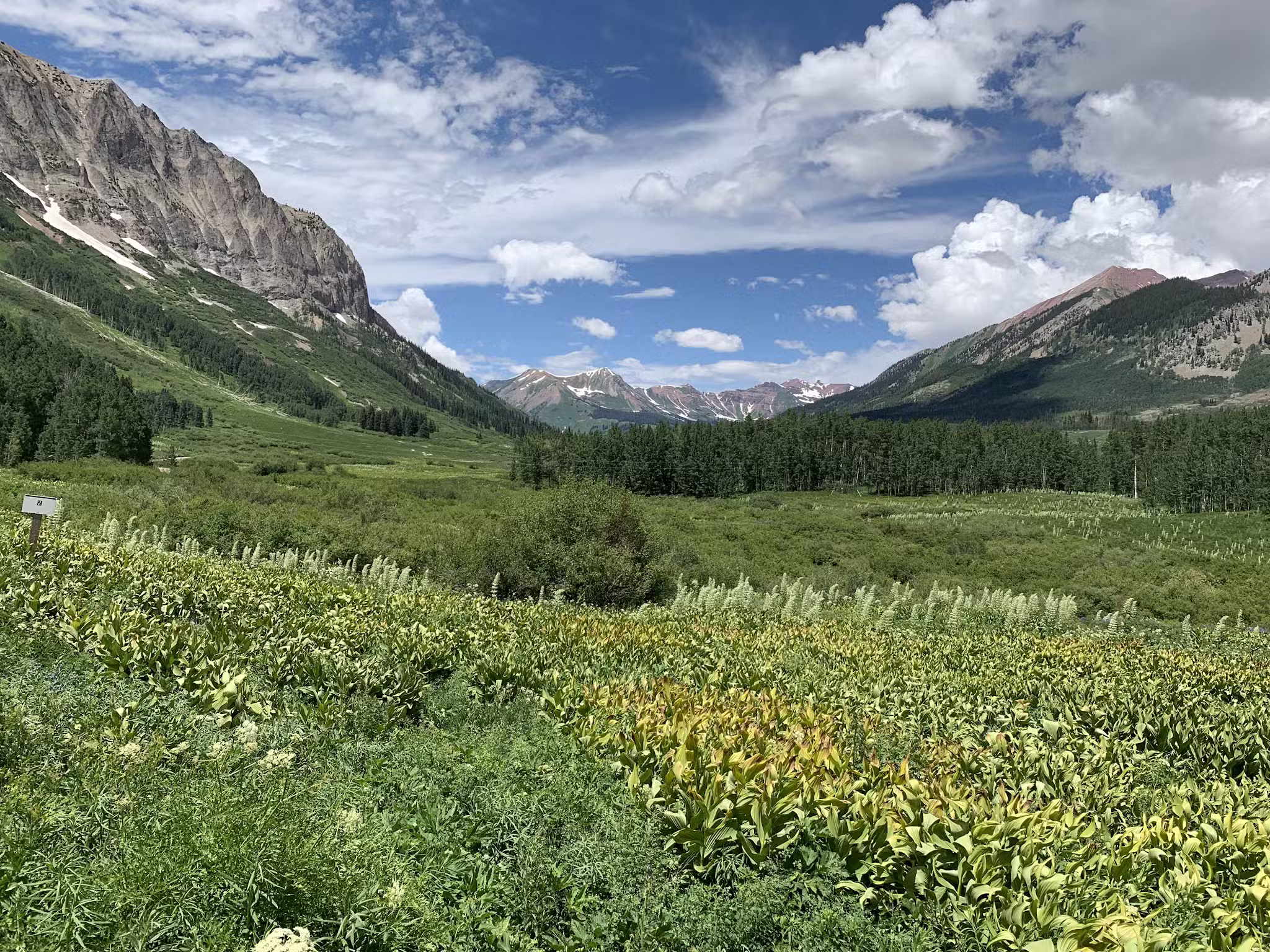 Playground - Crested Butte, CO