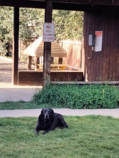 Playground - Crested Butte, CO